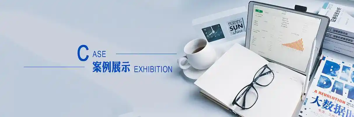 新区软件开发